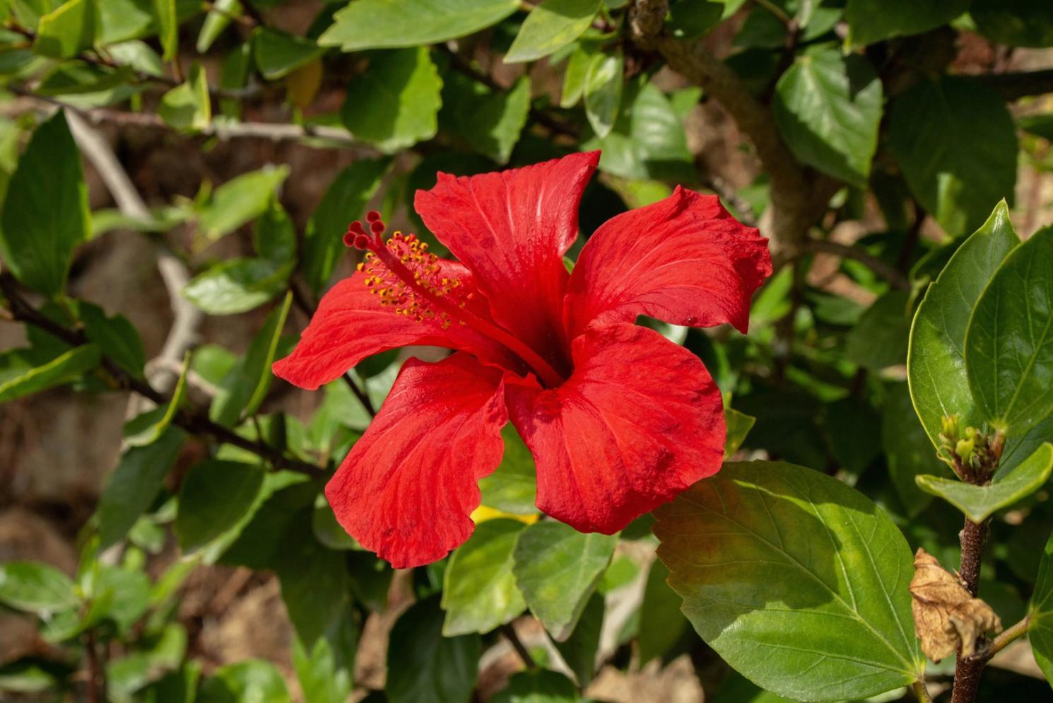 Elegant celebration table decoration with custom floral arrangements and lighting design