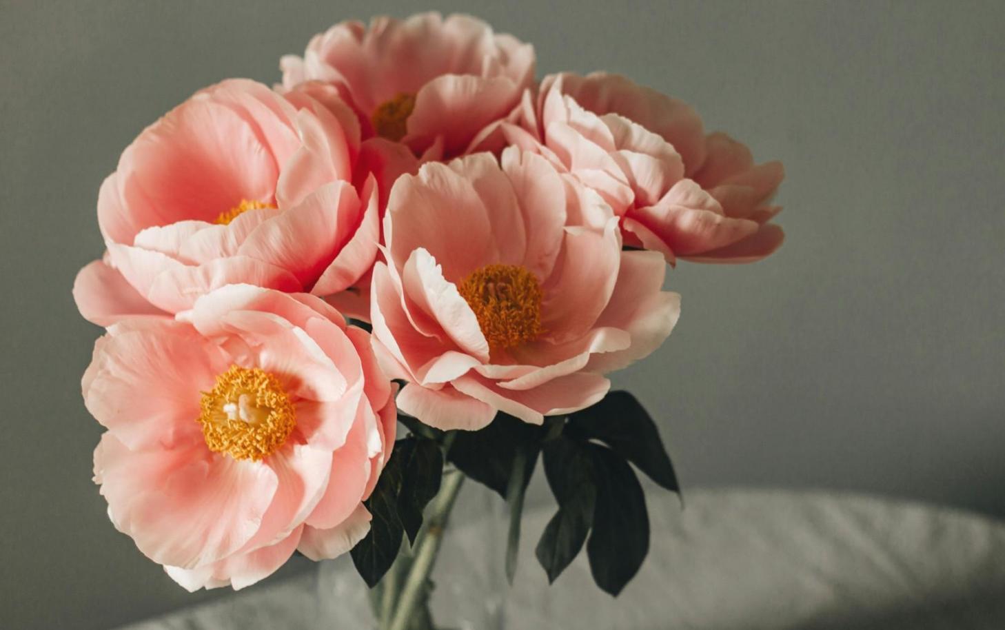 Detailed view of celebration decoration setup showing attention to texture and composition