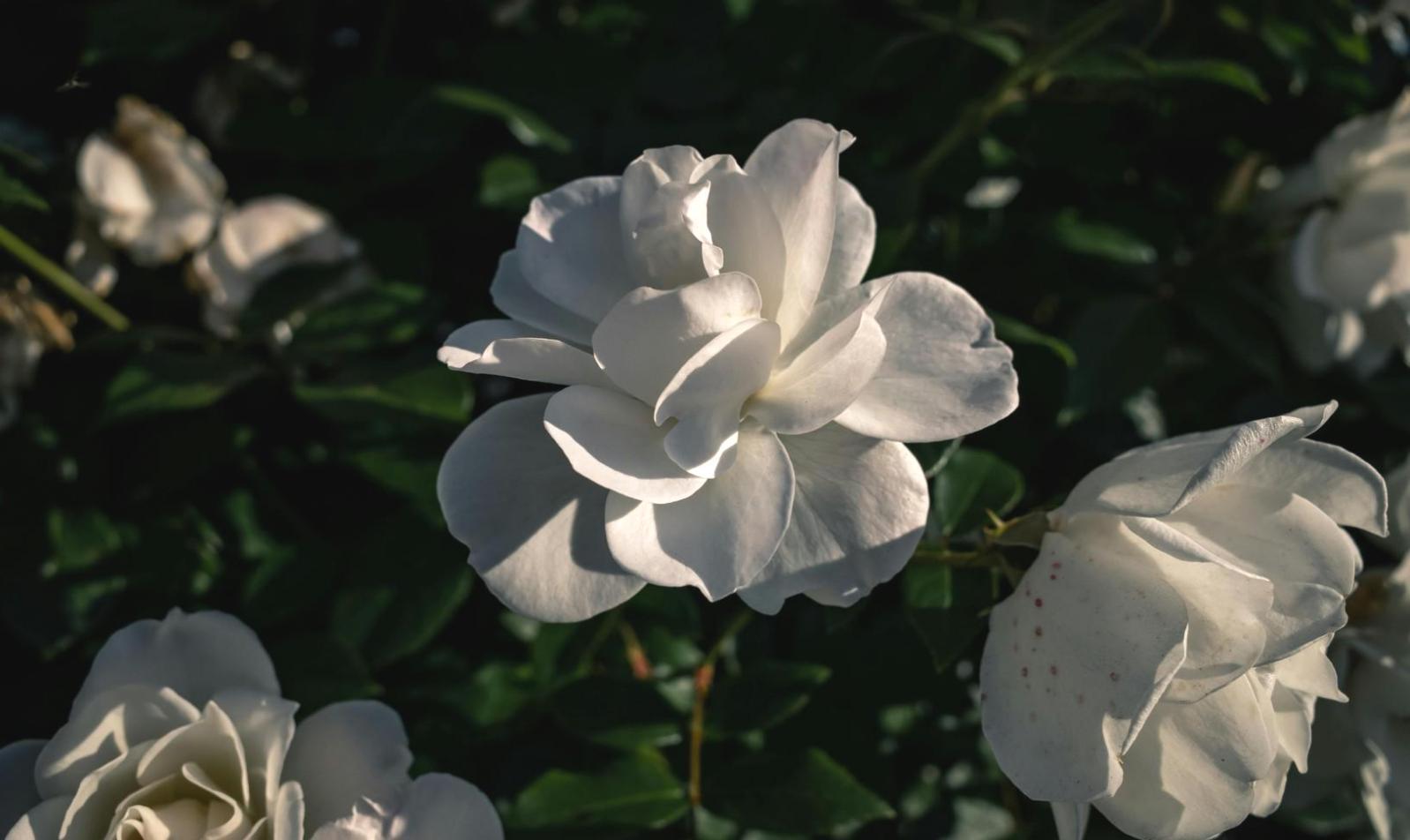 Custom wedding reception setup with personalized centerpieces and ambient lighting