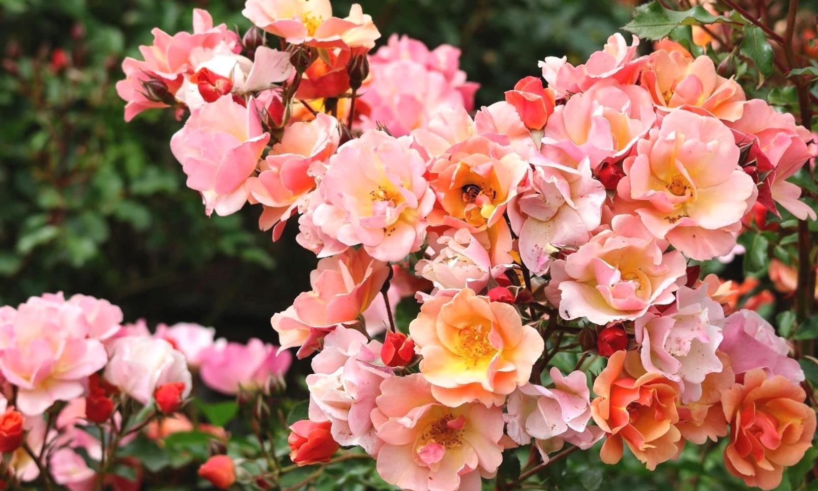 Elegant wedding venue decorated with natural elements and thoughtful lighting design